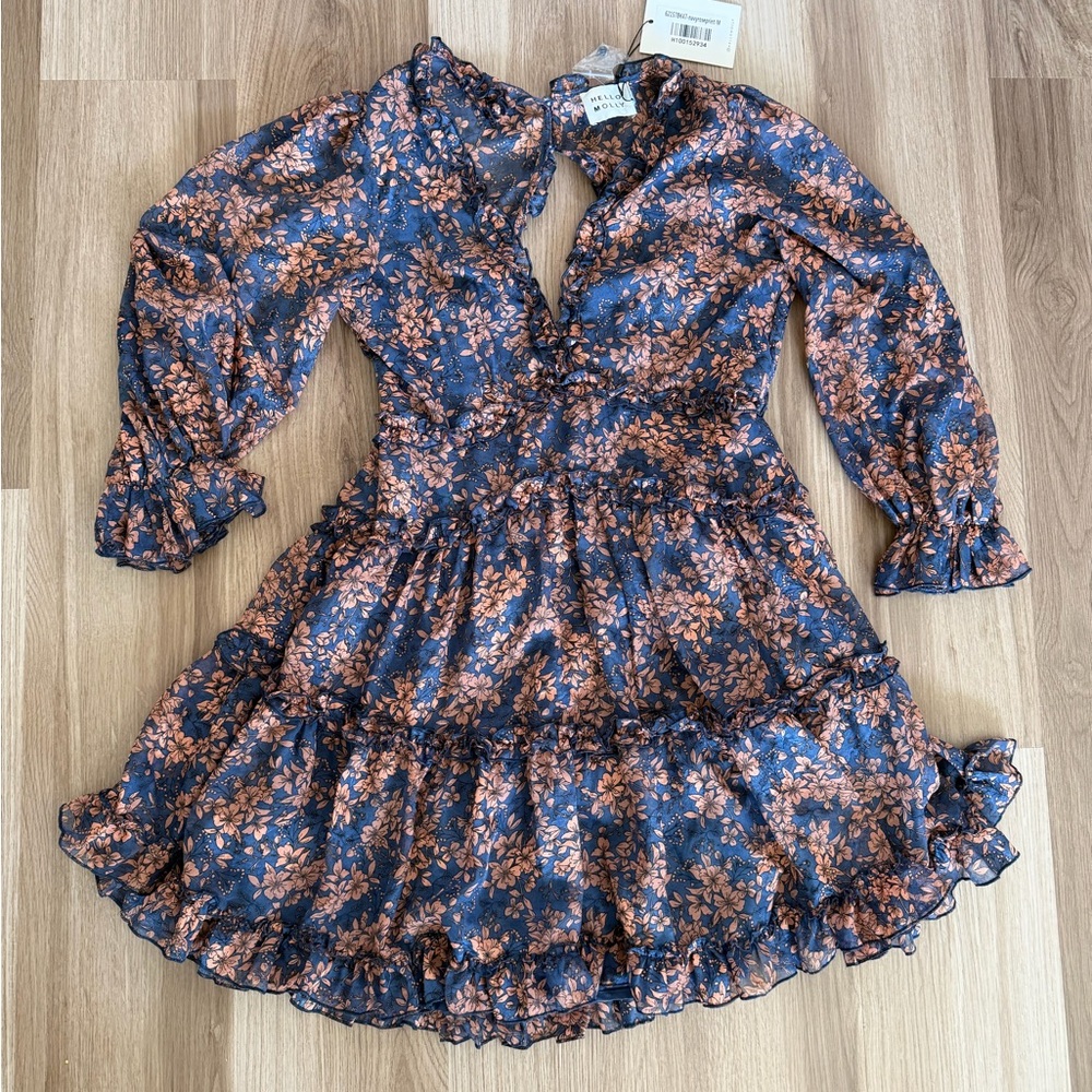 Hello Molly NWT Floral Blue and Brown Dress